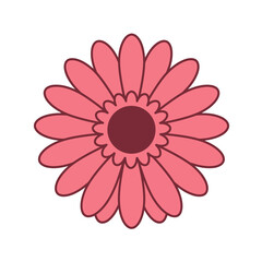 Stylized vector illustration of a pink gerbera daisy flower with a clean outline. Simple floral graphic icon isolated on a white background