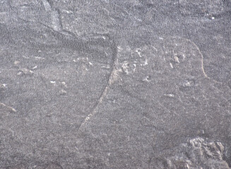 Dark gray plaster, rough-finished surface with light-colored inclusions, seamless close-up.
