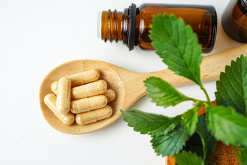 Alternative medicine herbal organic capsule vitamin E omega 3 fish oil drug herbs leaf natural