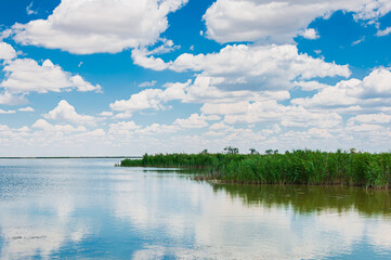 Peaceful summer scene with calm water, green reeds and bright clouds reflecting in the lake under a blue sky. Tranquil natural landscape with vibrant colors and still reflections.
