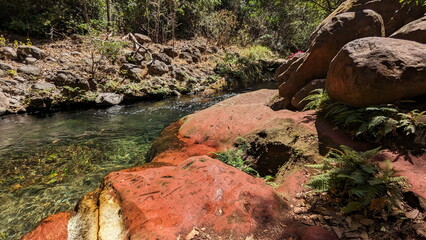 Poza Roja or the Red Pond near the Rincón de la Vieja National Park, in Costa Rica. The rocks are red and white from volcanic action. 