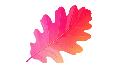Digitally rendered oak leaf; gradient of pink to orange, contrasting a black background. Isolated, elegant, and detailed
