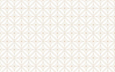 Elegant abstract line art geometric texture vector