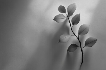Leafy branch, shadowed on textured background