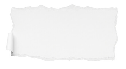 Fototapeta premium Torn white paper texture with ripped edges and blank space for design