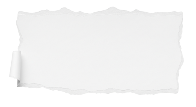 Torn white paper texture with ripped edges and blank space for design