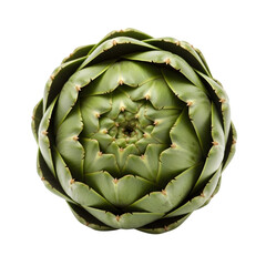 Fototapeta premium green artichoke edible bud, delicious vegetable, healthy raw food item, studio shot, isolated on white or transparent background. PNG