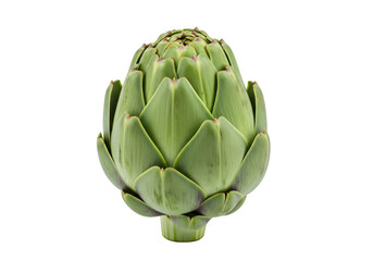 Obraz premium green artichoke edible bud, delicious vegetable, healthy raw food item, studio shot, isolated on white or transparent background. PNG