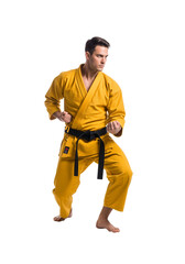 Karate gi uniform martial arts training outfit black belt yellow suit man on transparent background