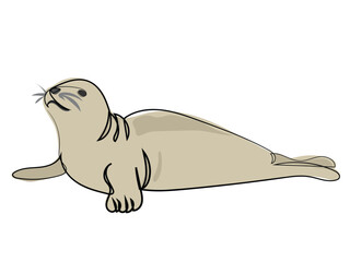 Seals in continuous line drawing