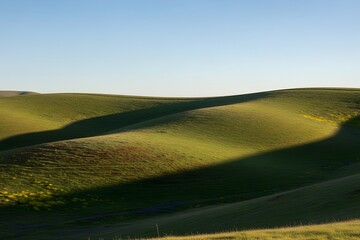 Obraz premium Rolling Green Hills beneath a Clear Blue Sky – Minimalistic Peaceful Landscape