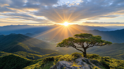Majestic sunrise over mountain valley with rays of light illuminating lush greenery and lone