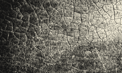 Detailed Macro Shot of Cracked Leather Texture in Monochrome