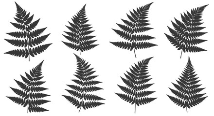 Eight dark grey fern frond silhouettes, showcasing diverse shapes and arrangements, isolated on a white background.