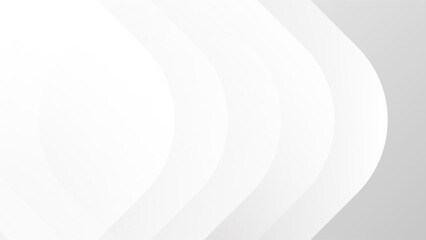 white background. luxury background. vector