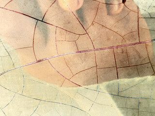 A leafy pattern is shown with a red line running through it