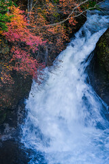 滝　紅葉