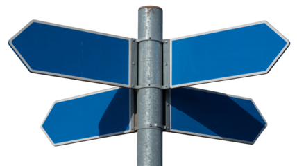 Blank blue directional signs point in multiple directions, offering choices
