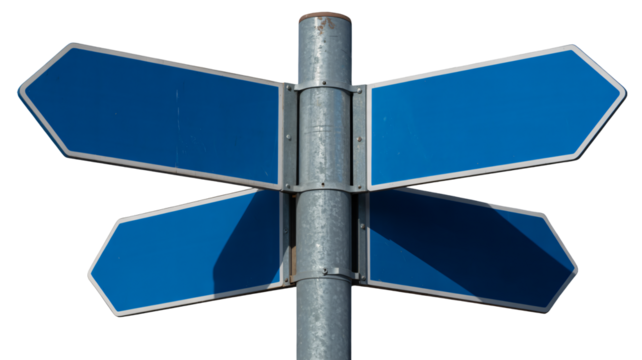 Blank blue directional signs point in multiple directions, offering choices