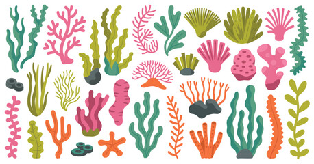 Ocean Algae and Coral Vector Set – Seaweed illustrations with kelp, seagrass, and tropical underwater plants suitable for marine life graphics, aquarium art, and sea-themed decor.