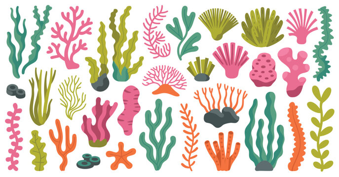 Ocean Algae and Coral Vector Set &ndash; Seaweed illustrations with kelp, seagrass, and tropical underwater plants suitable for marine life graphics, aquarium art, and sea-themed decor.