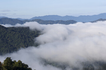 Peaceful mountain landscape with sea of cloud covering lush green forest valley. serene morning fog creates majestic and tranquil view from high angle perspective