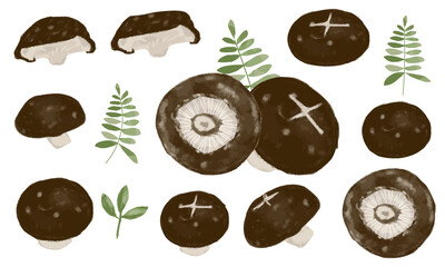 シイタケ（水彩タッチ）の素材セット