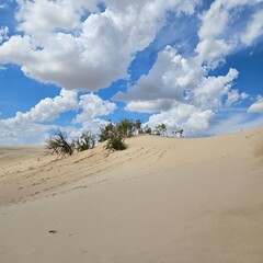 Cloudy sky over golden sand dunes at Monahans Sandhills State Park, Texas