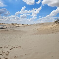 Cloudy sky over golden sand dunes at Monahans Sandhills State Park, Texas