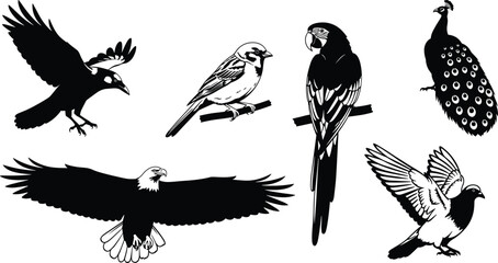 Obraz premium Silhouette birds flying, perched, landing—crow, eagle, parrot, peacock, pigeon, sparrow vector illustration for nature, wildlife concept