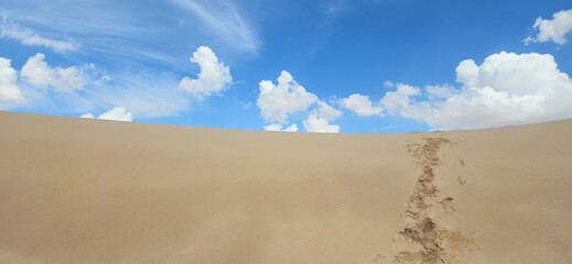 Sandy dune with footprints against a cloudy sky at Monahans Sandhills State Park, Texas