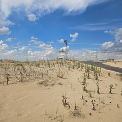 Road between vegetated sand dunes with a windmill in the background, Monahans Sandhill State Park, exas