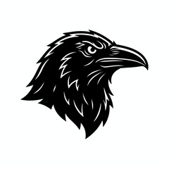 Obraz premium A side profile of a bird's head, stark black and white, defined feathers