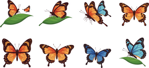 Colorful butterflies flying, perched on leaves and flowers—vector illustration of wing diversity for nature, garden wildlife, insect anatomy concept