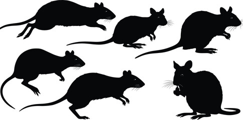 Silhouette rats in running, sitting, crouching, standing poses—black and white vector illustration for wildlife, nature, rodent animal concept