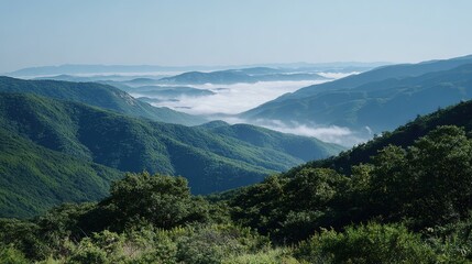 Fototapeta premium Sea of Clouds Mountain Panorama, Blue Sky Natural Background Material