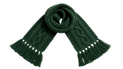 Dark green knitted winter accessory features intricate cable patterns and fringed ends