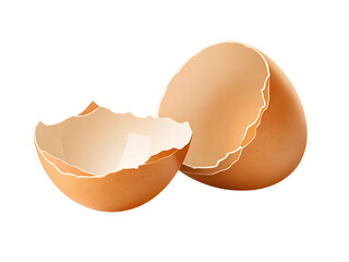 Broken egg shell pieces isolated object nature food cuisine organic natural organic material isolated on transparent background