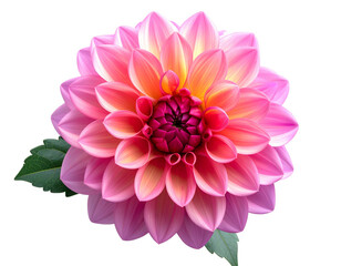 A sleek black electric kick scooter viewed from the front, standing upright, detailed handlebar and deck visible, realistic lighting and shadows, isolated on a transparent background (2)