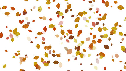 Autumn fallen leaves with transparent background