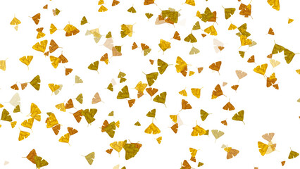 Autumn fallen leaves with transparent background