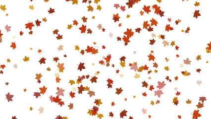 Autumn fallen leaves with transparent background