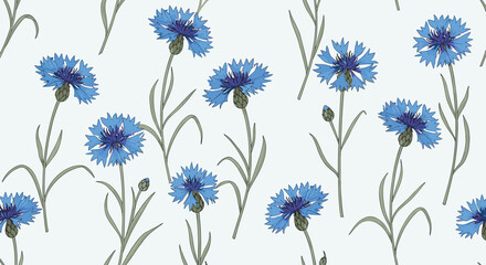 Seamless pattern of vibrant blue cornflowers with green stems and leaves, hand-drawn in a botanical illustration style, on a clean background.
