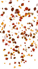 Autumn fallen leaves with transparent background