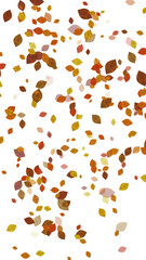 Autumn fallen leaves with transparent background
