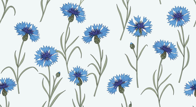 Seamless pattern of vibrant blue cornflowers with green stems and leaves, hand-drawn in a botanical illustration style, on a clean background.