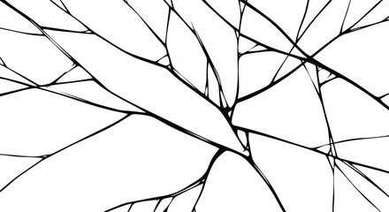 Abstract Black and White Vector Crack Pattern Broken Glass Texture Network Overlay Graphic Element