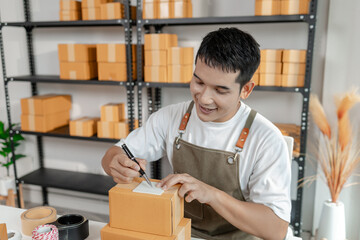 Ecommerce startup with young business owner, managing packages and sales, highlighting teamwork,...