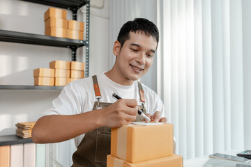 Ecommerce startup with young business owner, managing packages and sales, highlighting teamwork,...