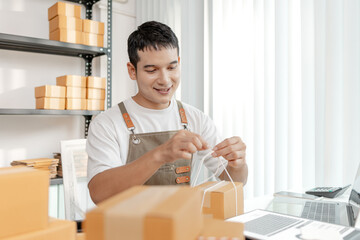 Ecommerce startup demonstrating modern online business model, combining packaging, logistics, and...